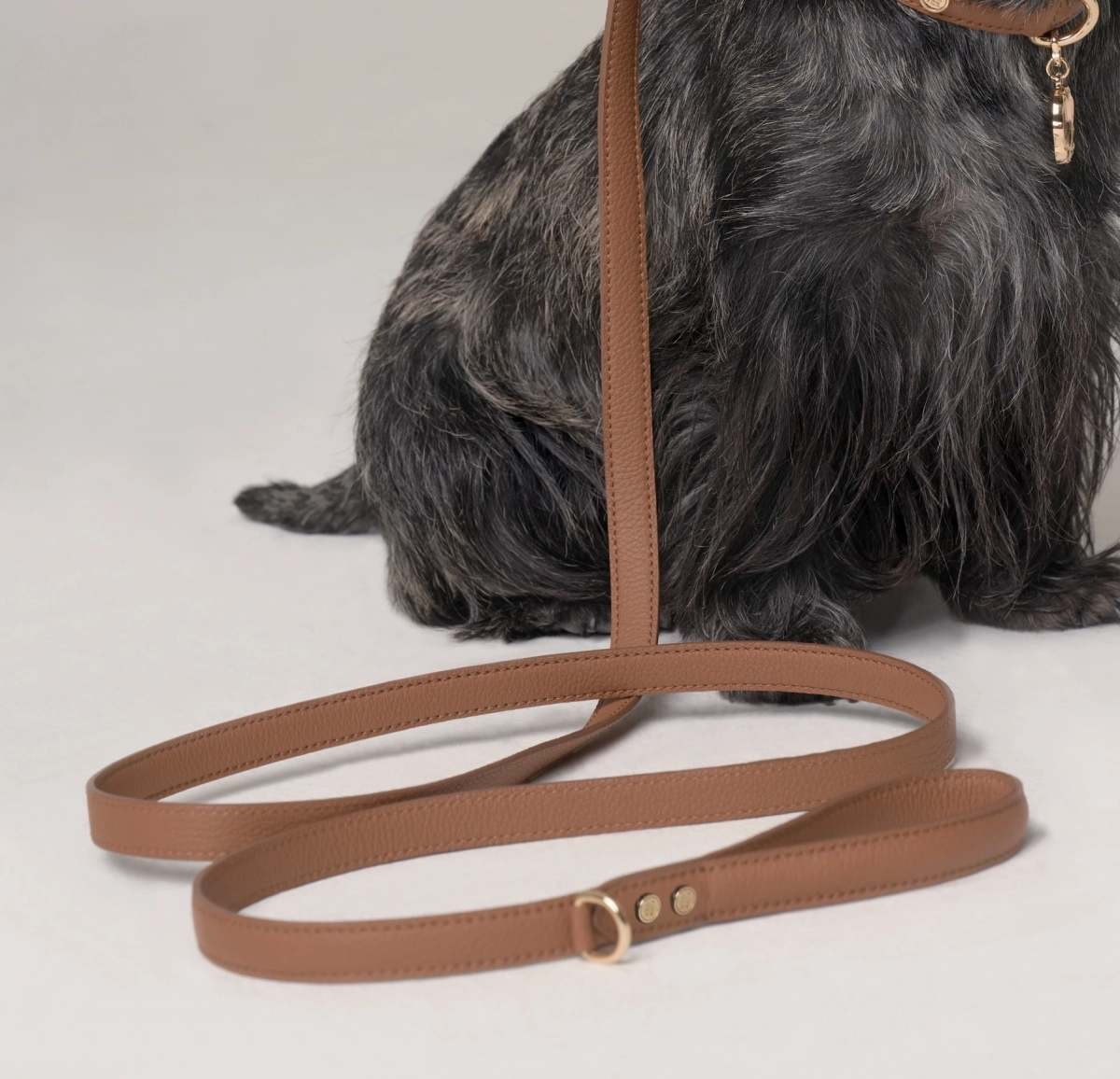 Signature Leash Camel