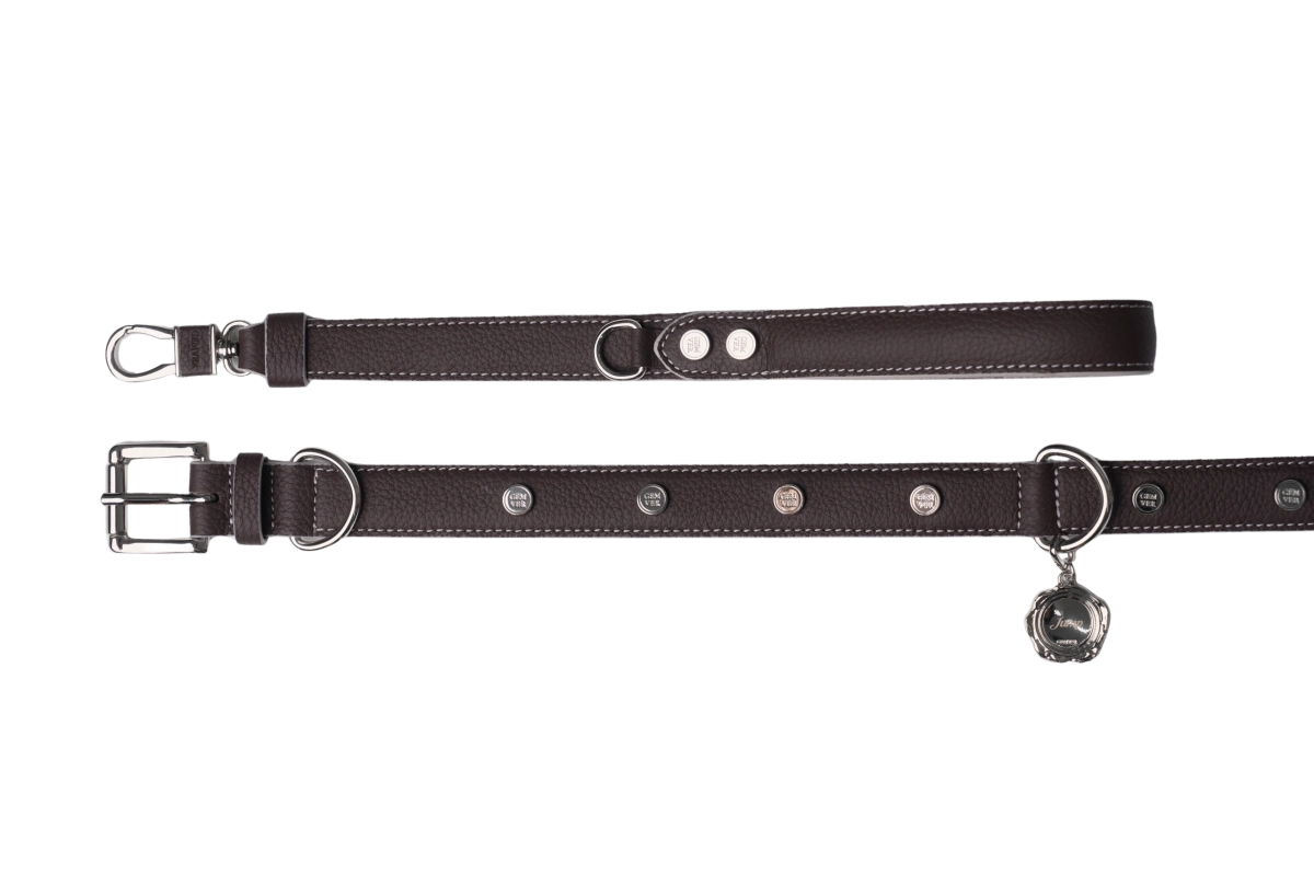 Signature Leash Chocolate Brown