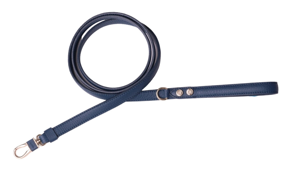 Signature Leash Navy